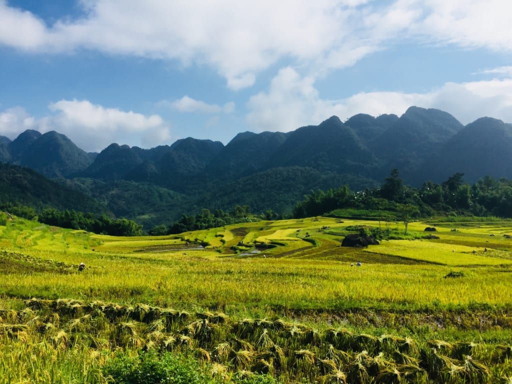 pu luong réserve naturelle nord vietnam