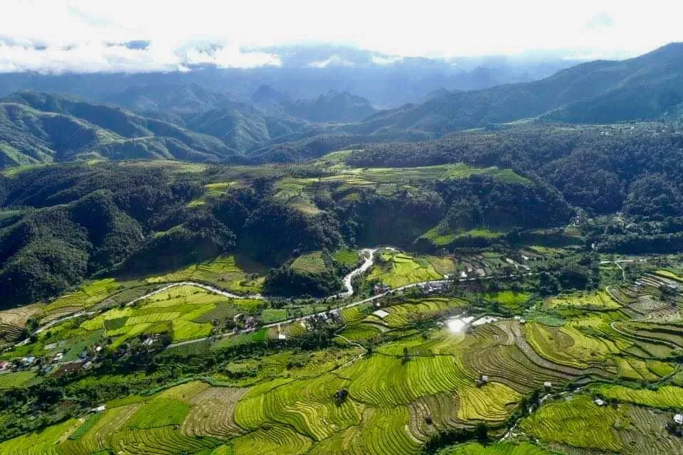 Rizieres Vietnam
