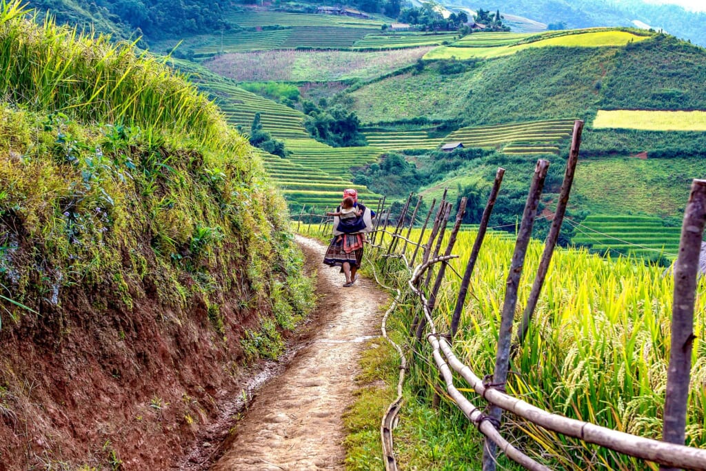 Province de Lao Cai