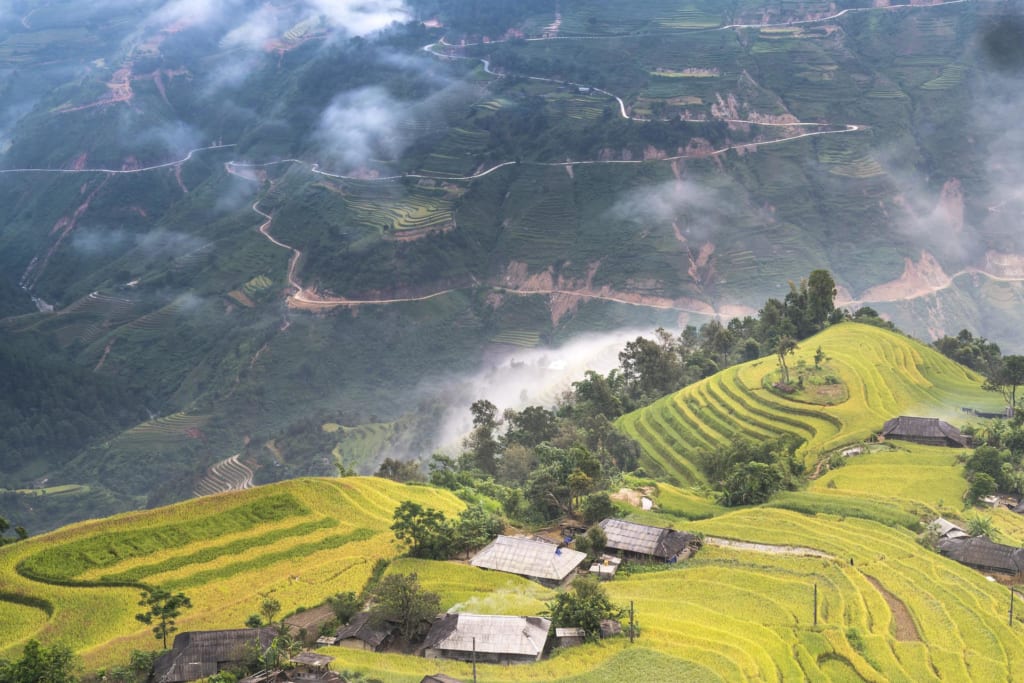 hoang su phi rizières en terrasse rice field  terraces nord vietnam mystères du vietnam 20 jours