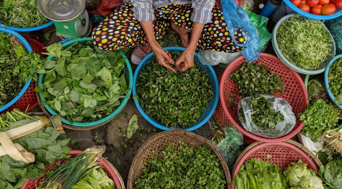 fines herbes au marché local