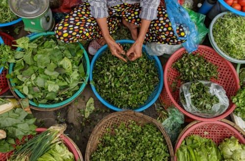 fines herbes au marché local