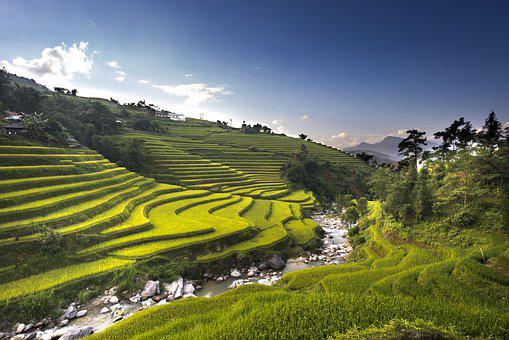 hoang su phi nord vietnam north rice fields rizières en terrasses