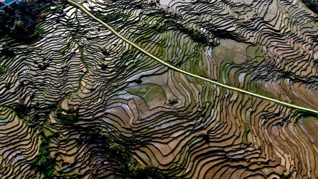 réserve naturelle de Pu Luong rizières en terrasse