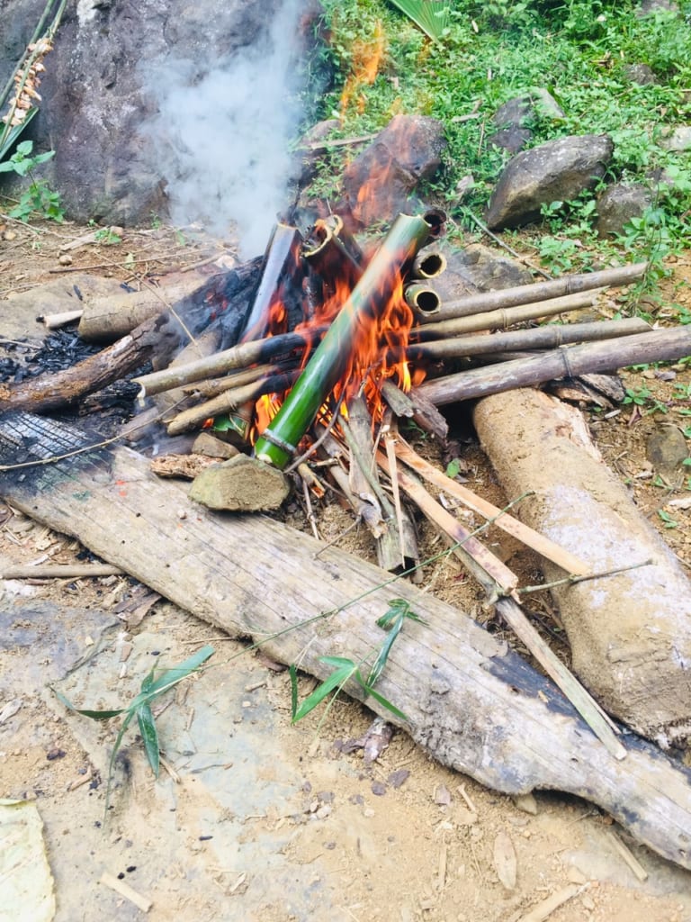 Jungle trekking in Pu Luong - North Vietnam