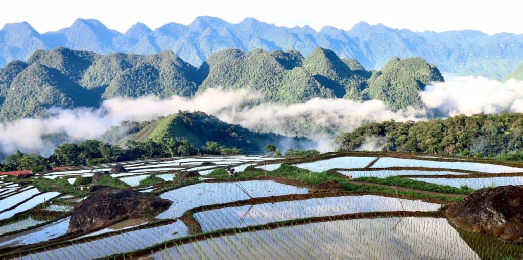 Pu Luong view tour mai chau pu luong 4 jours days
Séjour court Nord Vietnam