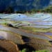 activities in Pu Luong - What to do