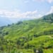 vietnam adventure tour 14 days in the North