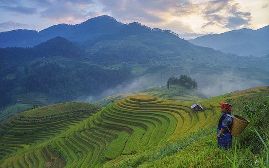 mu cang chai - circuit bien être 6 jours nord vietnam