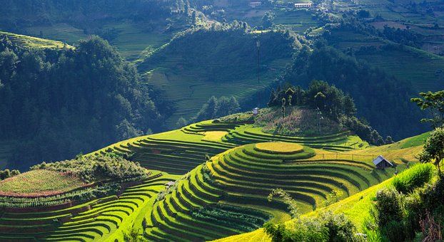 randonnée dans le nord vietnam à mu cang chai