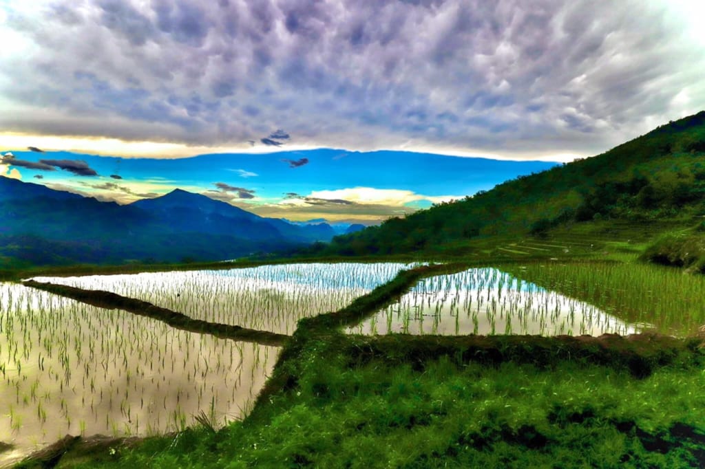 activité pu luong nature reserve activities