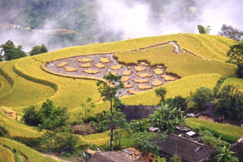 Ho Thau - 11 days tour North Vietnam