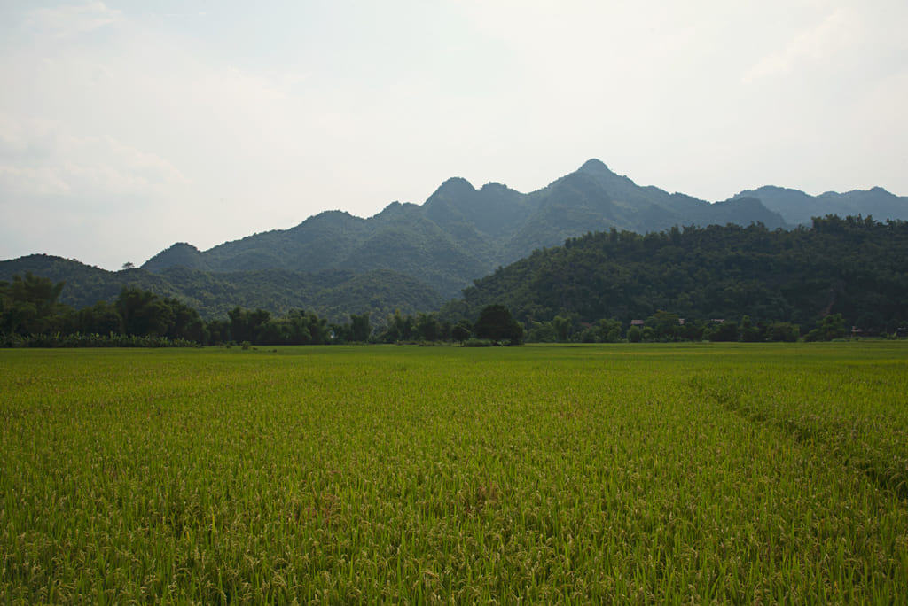 Mai Chau