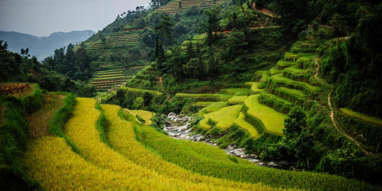 Hoang Su Phi