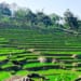 activités pu luong réserve naturelle guide de voyage