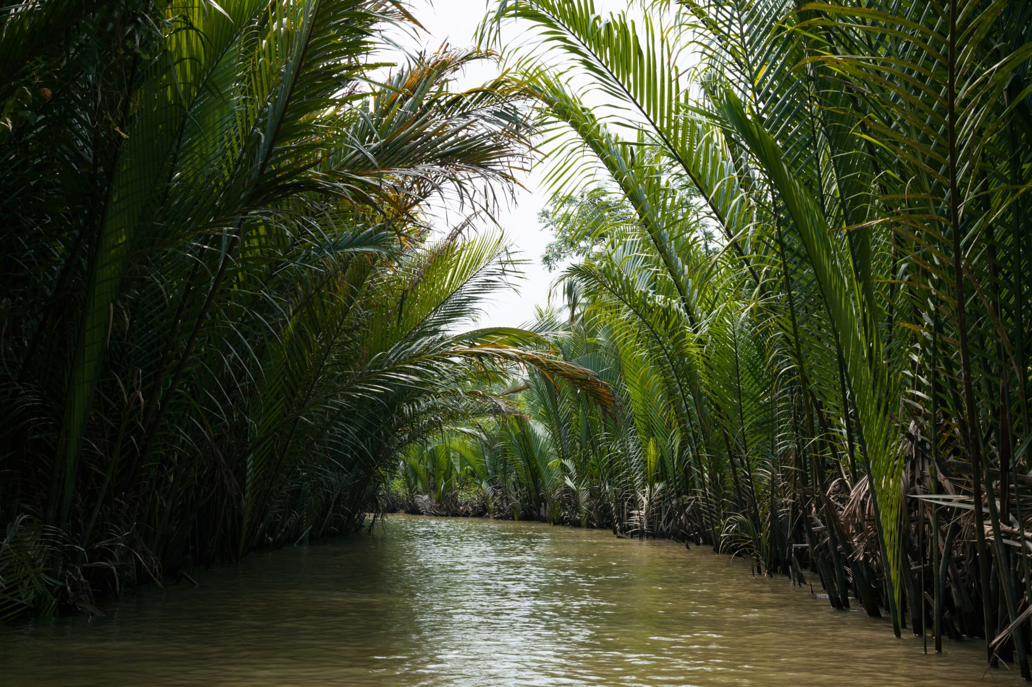 découverte sud vietnam - delta mekong